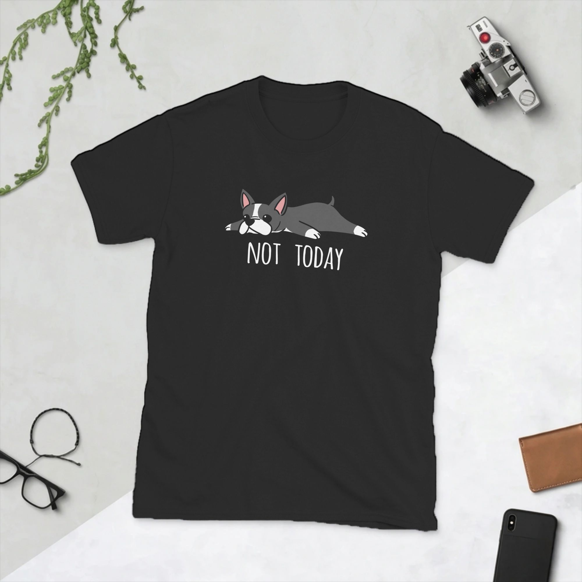 Funny Not Today Boston Terrier - Summer Clothing Ideas Men recension och pris