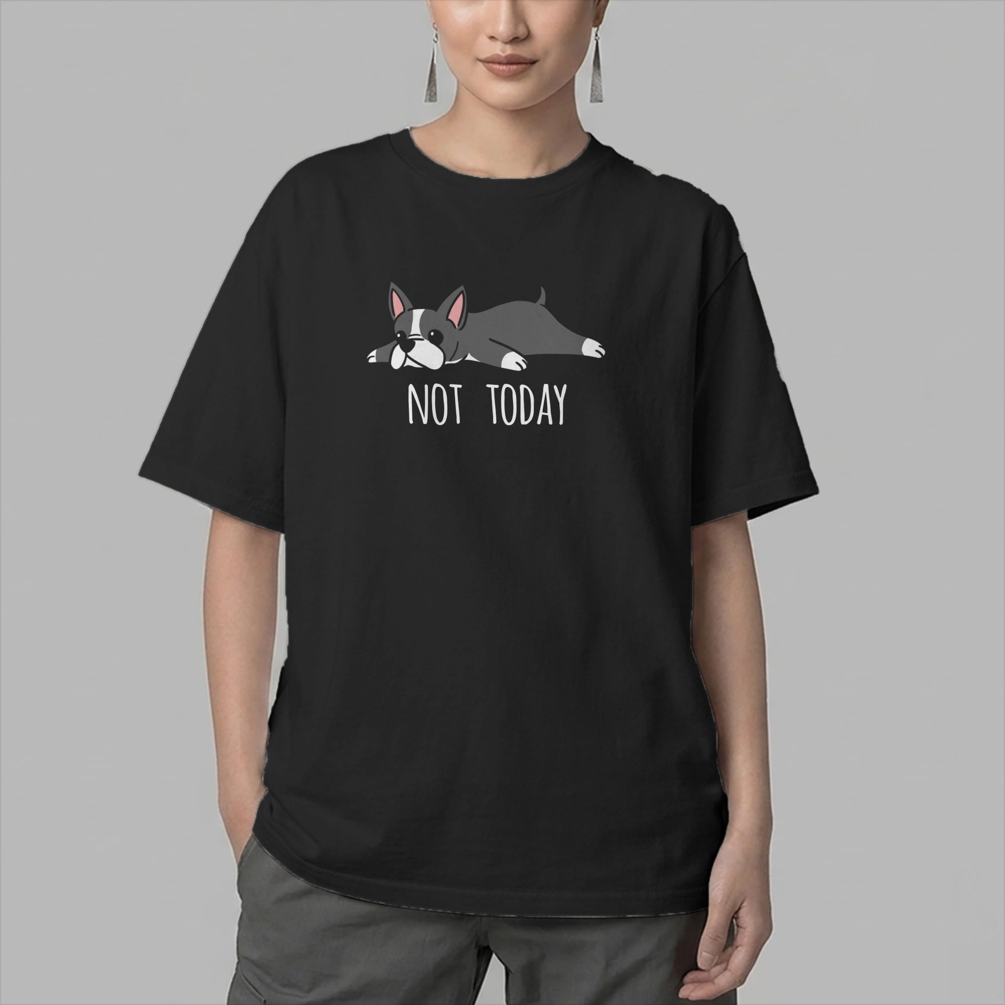 Funny Not Today Boston Terrier - Summer Clothing Ideas Men recension och pris