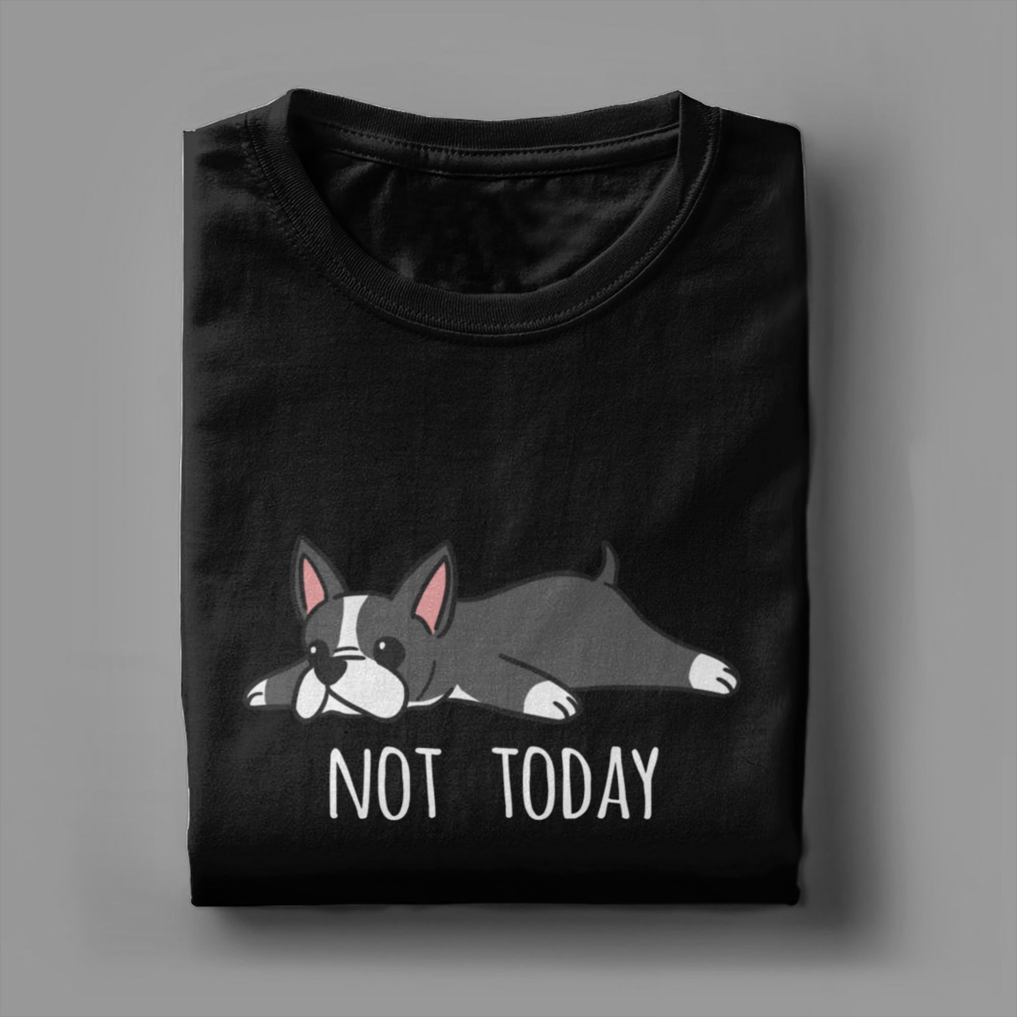 Funny Not Today Boston Terrier - Summer Clothing Ideas Men recension och pris